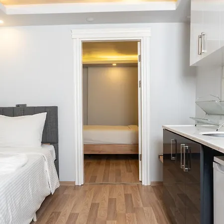 酒店 Artistanbul Karakoy 伊斯坦布尔