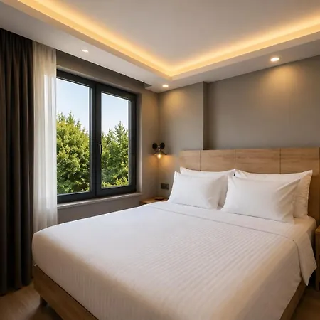 Art Karakoy Hotell