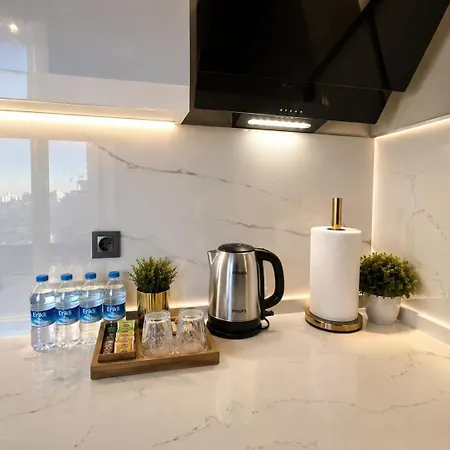 Art Karakoy Hotell *