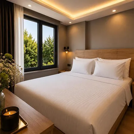 Hotel Art Karakoy Istanboel