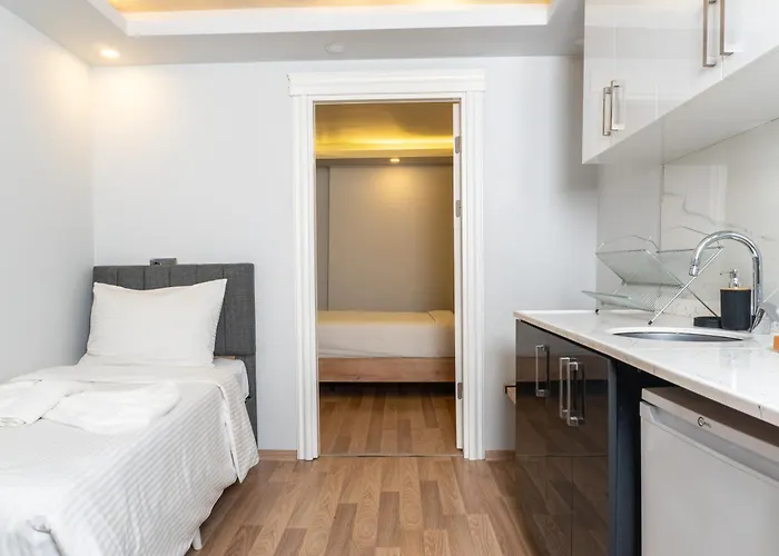 酒店 Artistanbul Karakoy 伊斯坦布尔