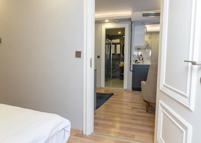 酒店 Artistanbul Karakoy *