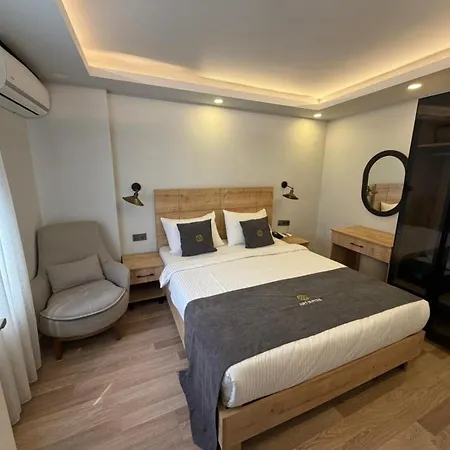 Art Karakoy Hotel *