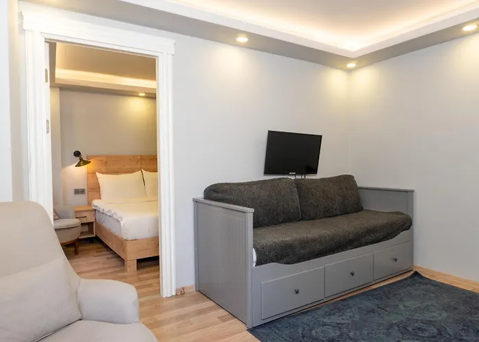 Hotel Artistanbul Karakoy *